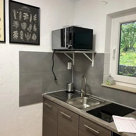 1-zimmerapartment Mit Burgblick *