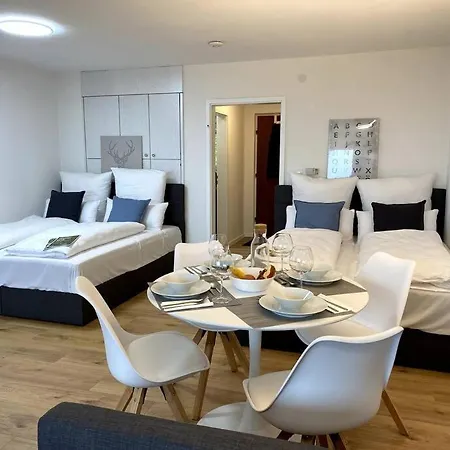 1-zimmerapartment Mit Burgblick *